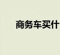 商务车买什么牌子(商务用什么车型)