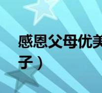 感恩父母优美句子20字(感恩父母的优美句子)