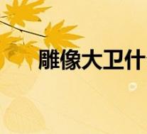 雕像大卫什么断了(雕像大卫的原型)