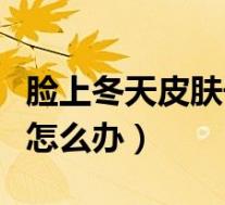 脸上冬天皮肤干燥起皮怎么办(皮肤干燥起皮怎么办)