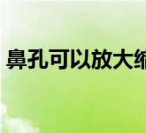 鼻孔可以放大缩小（鼻孔能放大缩小是怎样）
