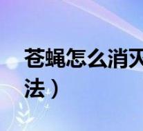 苍蝇怎么消灭 最有效(苍蝇怎么消灭简单方法)