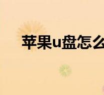 苹果u盘怎么用(iphone的u盘怎么用)