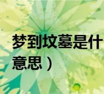 梦到坟墓是什么意思好不好(梦到坟墓是什么意思)