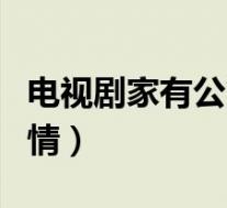 电视剧家有公婆剧情简介(电视剧家有公婆剧情)