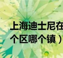 上海迪士尼在哪个区?(上海迪士尼在哪里哪个区哪个镇)