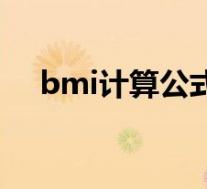 bmi计算公式及正常值(bmi计算公式)