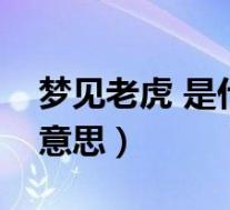 梦见老虎 是什么意思(梦到老虎具体是什么意思)