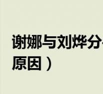 谢娜与刘烨分手原因是什么(谢娜与刘烨分手原因)