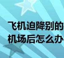 飞机迫降别的机场安排住宿吗(飞机迫降别的机场后怎么办)