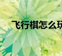 飞行棋怎么玩新手入门(飞行棋怎么玩)