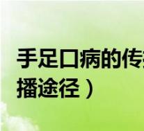 手足口病的传播途径包括哪些（手足口病的传播途径）