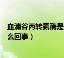 血清谷丙转氨酶是什么原因造成的（血清谷丙转氨酶偏高怎么回事）