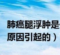 肺癌腿浮肿是什么原因引起的（腿浮肿是什么原因引起的）