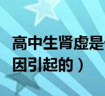 高中生肾虚是什么原因引起的（肾虚是什么原因引起的）