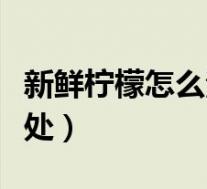 新鲜柠檬怎么泡水喝(天天喝柠檬水有什么好处)
