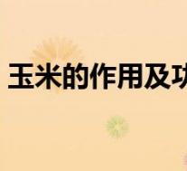 玉米的作用及功能主治（玉米的作用及功能）