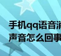 混录天王手机版goldwave中文版