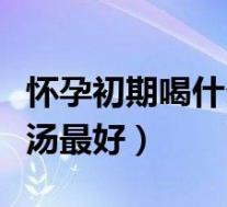 怀孕初期喝什么汤最有营养（怀孕初期喝什么汤最好）
