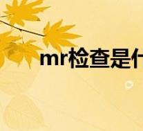 mr检查是什么原理（什么叫mr检查）