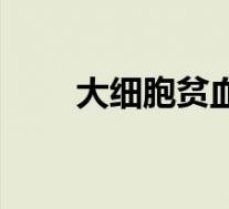 大细胞贫血症（大细胞贫血有几种）