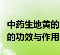 中药生地黄的功效与作用及禁忌（中药生地黄的功效与作用）