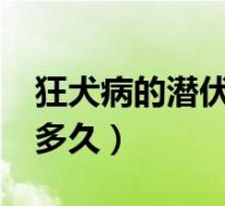 狂犬病的潜伏期是多久?（狂犬病的潜伏期是多久）