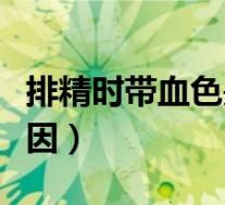 排精时带血色是什么原因（射精带血是什么原因）
