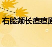 右脸颊长痘痘原因图解（右脸颊长痘痘原因）