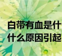 白带有血是什么原因引起的怎么办（白带多是什么原因引起）