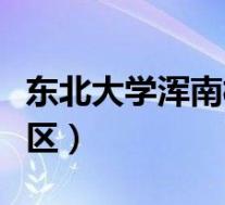 东北大学浑南校区占地面积(东北大学浑南校区)