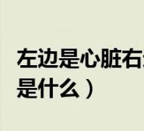 左边是心脏右边是什么器官（左边是心脏右边是什么）
