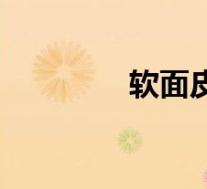 软面皮会掉皮吗(软面皮)