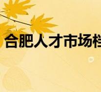 合肥人才市场档案服务中心(合肥人才市场)