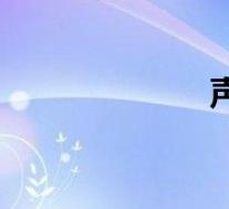 声道英文(声道)