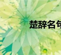 楚辞名句取名女孩(楚辞名句)