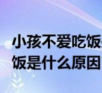 小孩不爱吃饭是什么原因引起的（小孩子不吃饭是什么原因）