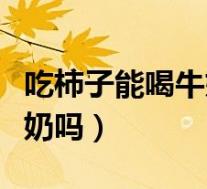 吃柿子能喝牛奶吗不能吃什么（吃柿子能喝牛奶吗）