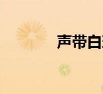 声带白斑的症状(声带白斑)