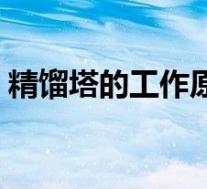 精馏塔的工作原理视频(精馏塔的工作原理)