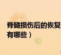 脊髓损伤后的恢复表现有哪些症状（脊髓损伤后的恢复表现有哪些）