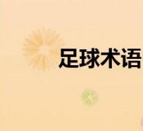 足球术语中英文对照(足球术语)