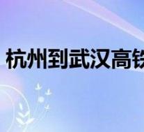 杭州到武汉高铁多少时间(杭州到武汉高铁)