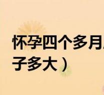怀孕四个多月肚子应该多大（怀孕四个多月肚子多大）