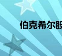 伯克希尔股票a与b(伯克希尔股票)