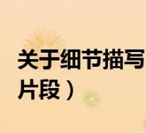 关于细节描写的片段一百字(关于细节描写的片段)