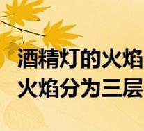 酒精灯的火焰分为三层分别是什么(酒精灯的火焰分为三层)