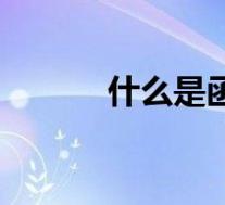 什么是函数初中(什么是函数)