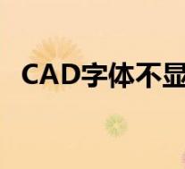 CAD字体不显示怎么办(cad字体不显示)