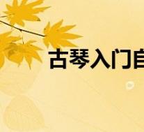 古琴入门自学教程视频(古琴入门)